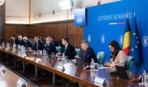 The interim executive led by Cătălin Predoiu